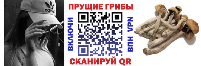 как найти закладки  Сосногорск  Псилоцибиновые грибы ЛСД 